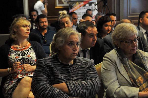 ALEKSANDRA PAPADOPULO: Euleks nije mogao u par godina čarobnim štapićem da reši sve probleme!