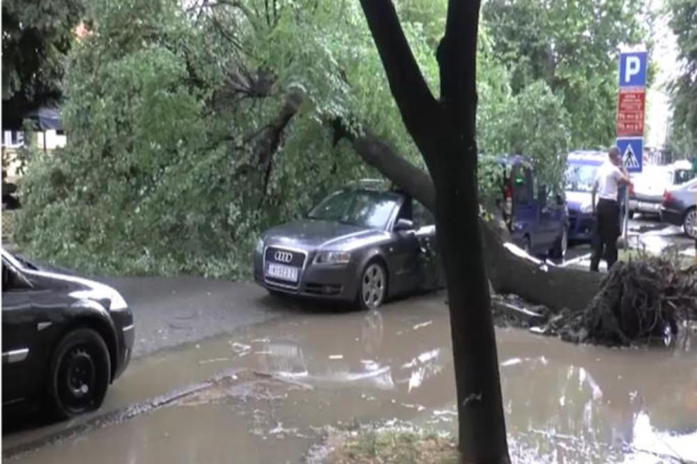 HAOS U CENTRU RUME: Nevreme IŠČUPALO STABLO iz korena! Najavljeno da ovakva OLUJA stiže i u Beograd (VIDEO)