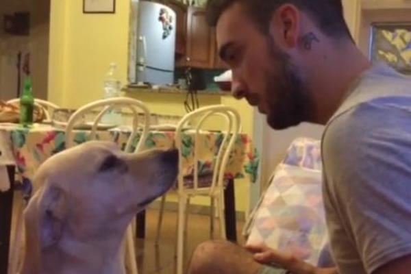 URLAO JE NA PSA ZBOG LOŠEG PONAŠANJA: Nije se nadao ovakvoj reakciji, pa je prasnu u SMEH! Kad pogledate video shvatićete zašto (VIDEO)