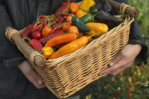 POJEO 50 NAJLJUĆIH PAPRIČICA NA SVETU DA BI OBORIO GINISOV REKORD: Plakao i URLAO, ali tu nije STAO... (VIDEO)