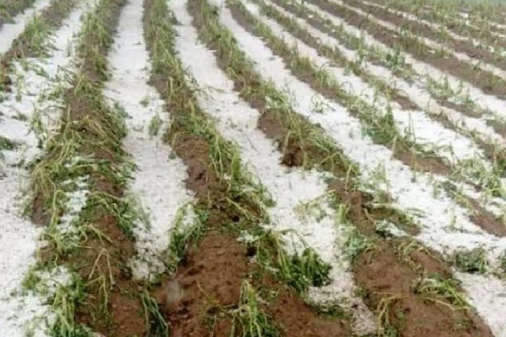 ZA 20 MINUTA UNIŠTEN SAV TRUD: Jako nevreme POTOPILO Loznicu, svi usevi UNIŠTENI!