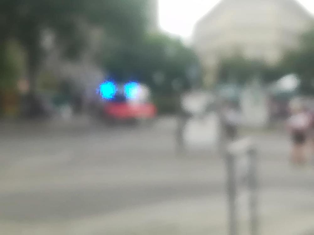 PARADA PONOSA U FOTOGRAFIJAMA   