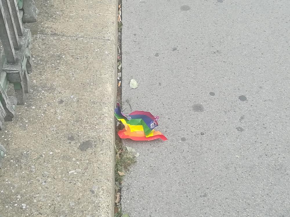 PARADA PONOSA U FOTOGRAFIJAMA   