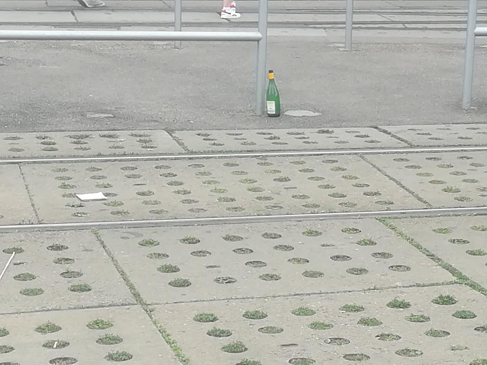 PARADA PONOSA U FOTOGRAFIJAMA   