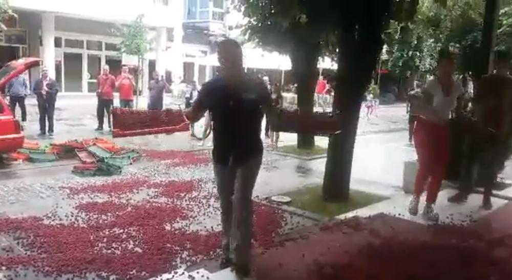 NEZADOVOLJNI MALINARI         