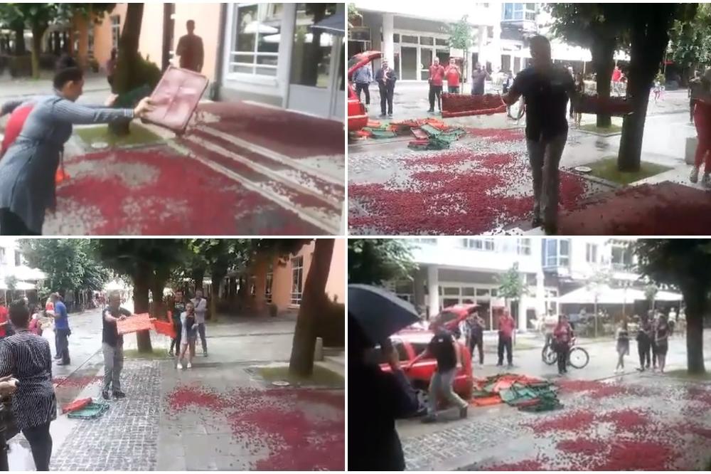 DA UMREŠ OD TUGE! Nezadovoljni malinari prosuli više od 100 gajbi malina ispred Opštine Bijelo Polje! (VIDEO)