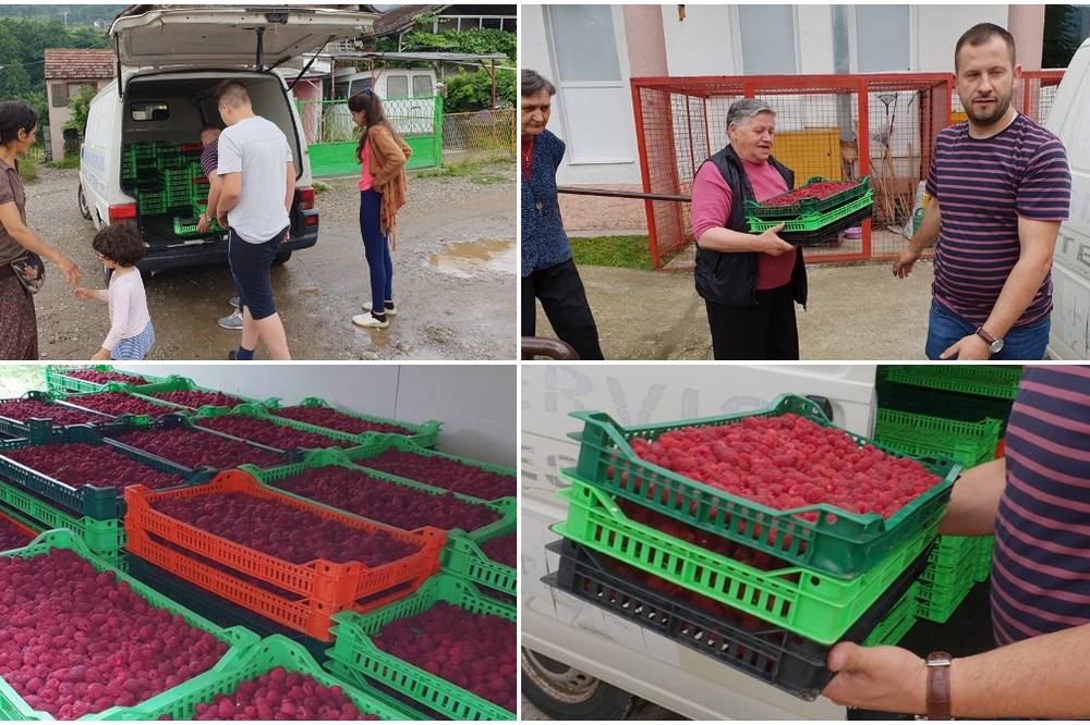NAJNEOBIČNIJI REVOLT MALINARA: Sead je svoje maline poklonio staračkom domu, vrtiću i Romima, a za zainteresovane ima još jednu ponudu! I TO ZA DŽABE (FOTO)