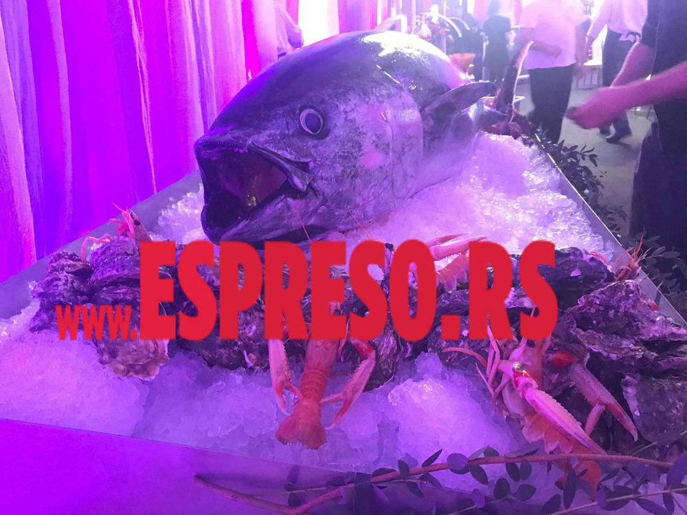 Ova riba mora da ima jedno 15 kila minimum   