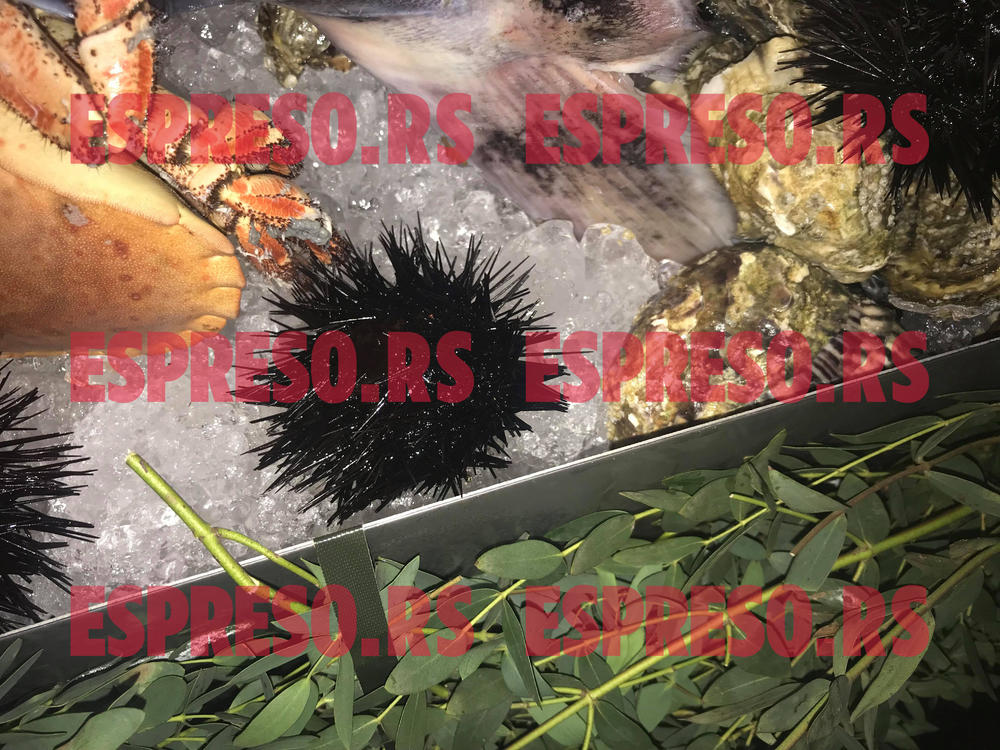 Ma više ne znamo ni šta je ovo   