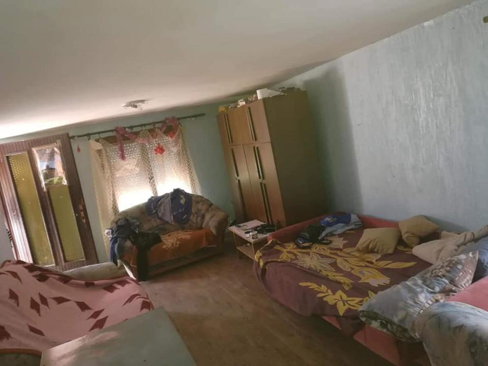 Porodica Dumitrović iz Bora, kuća      