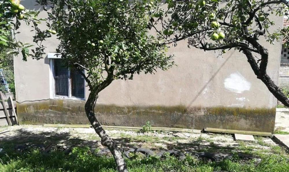 Porodica Dumitrović iz Bora, kuća   