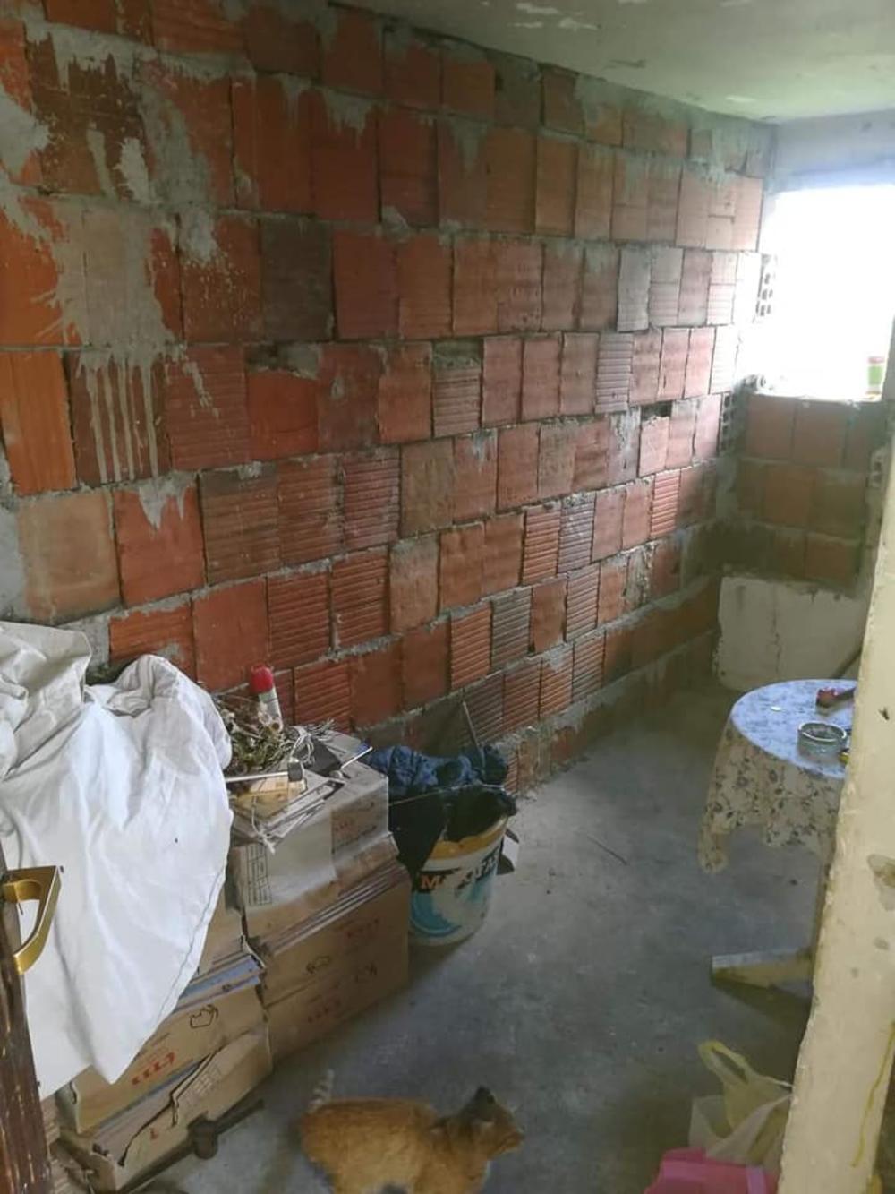 Porodica Dumitrović iz Bora, kuća       