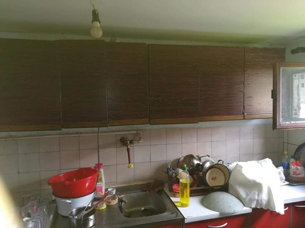 Porodica Dumitrović iz Bora, kuća         