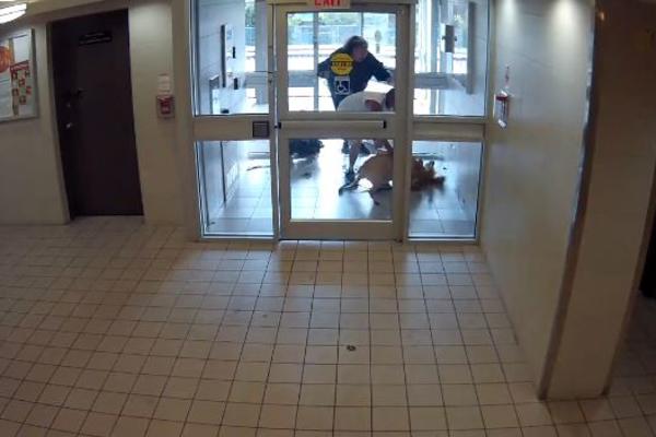 STRAVIČAN NAPAD U HAUSTORU: Pitbul kidisao na tri mala psa i ubio jednog! (VIDEO)