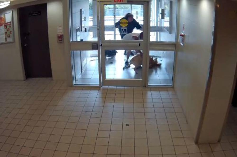 STRAVIČAN NAPAD U HAUSTORU: Pitbul kidisao na tri mala psa i ubio jednog! (VIDEO)