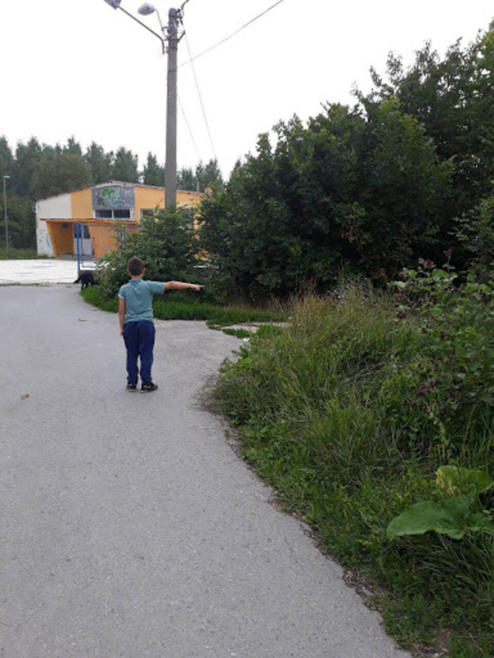 Dete pokazuje gde ga je napao pas  