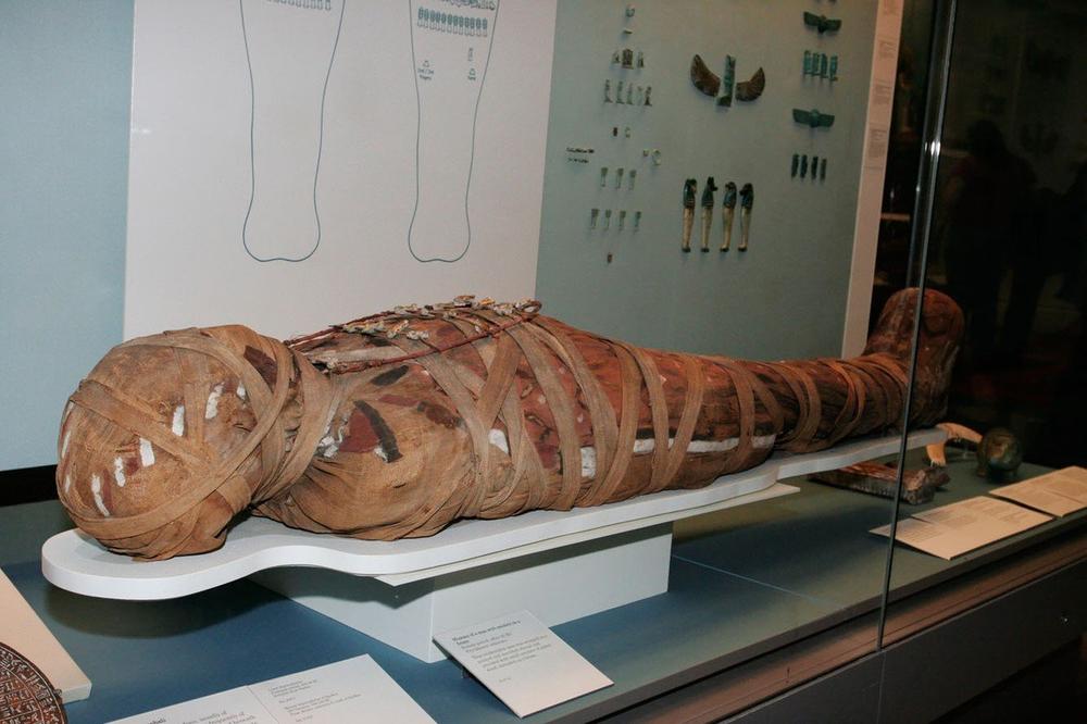 Iz najveće svetske kolekcije nestale 22 mumije