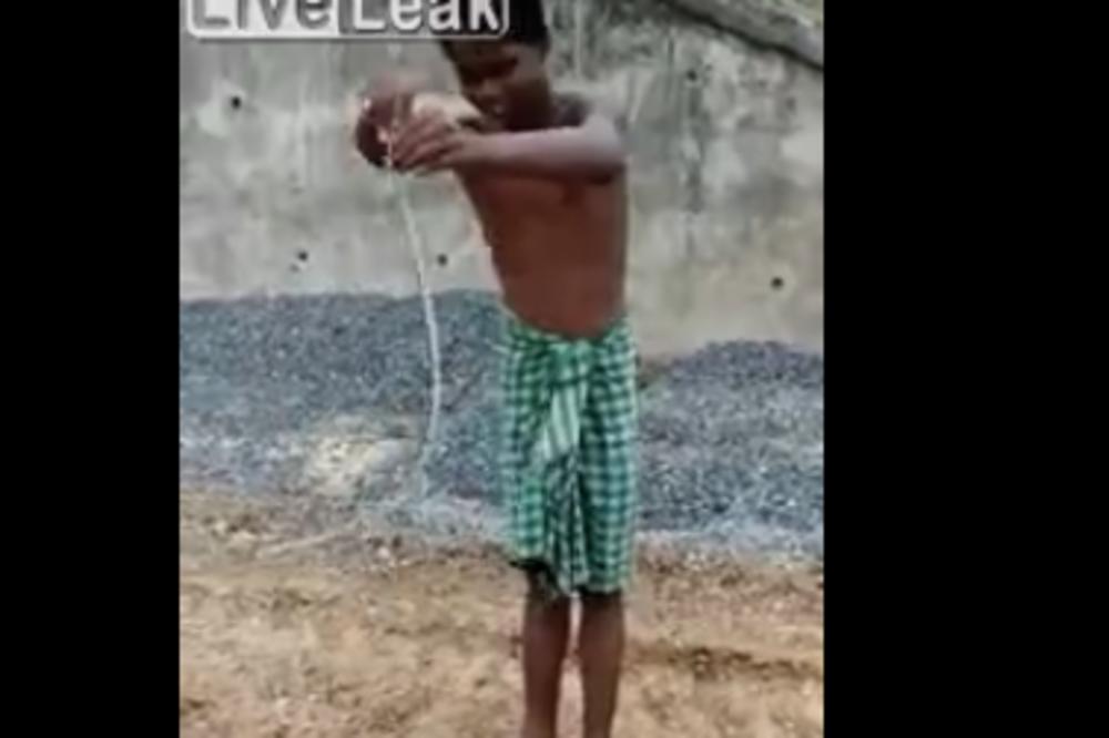 STRAVIČNO JE MALTRETIRAO JADNU ŽIVOTINJU: Nije prestajao, a onda mu se ona BRUTALNO OSVETILA! (VIDEO)