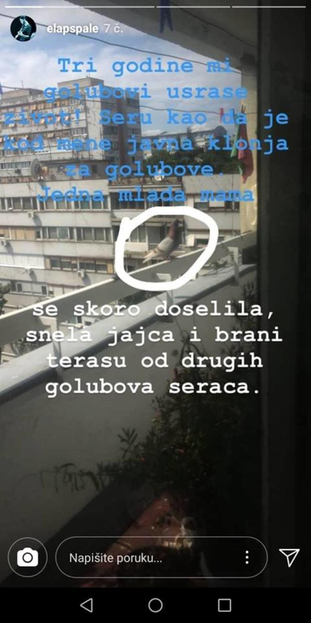 Ovaj sraman postupak Nikole Spasića oštro je osuđen  