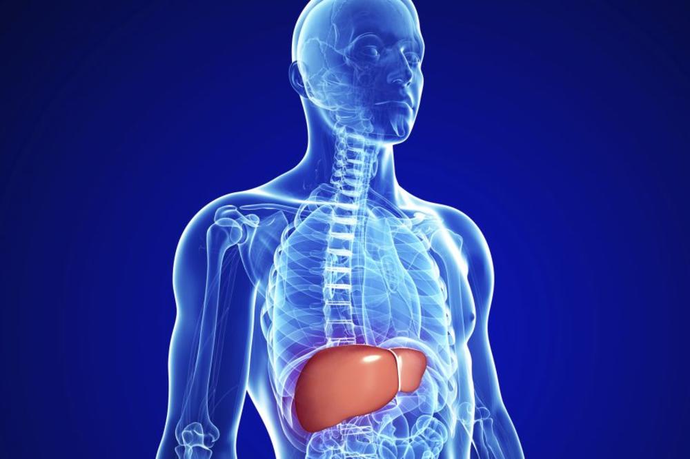 NAMIRNICAMA SE NE MOŽE OČISTITI JETRA OD TOKSINA: Sve ostale tvrdnje su mit