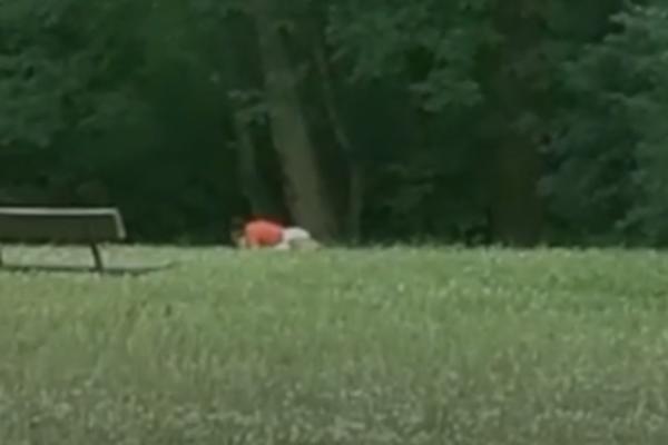 IMALI ODNOSE PORED DEČIJEG IGRALIŠTA: Hrvatski par u centru Zagreba zaprepastio prolaznike! (VIDEO)