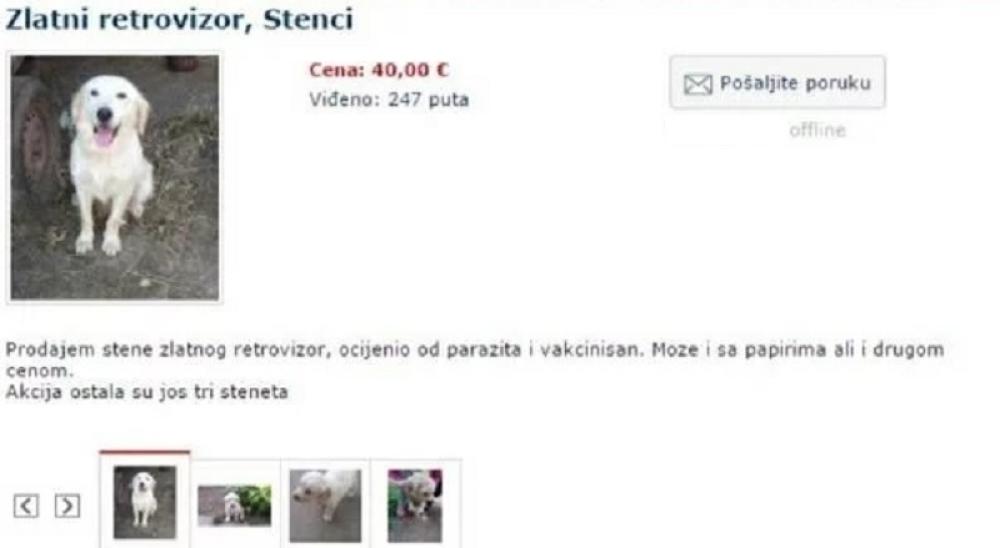 Oglas zbog kog nećete moći da prestanete da se smejete  