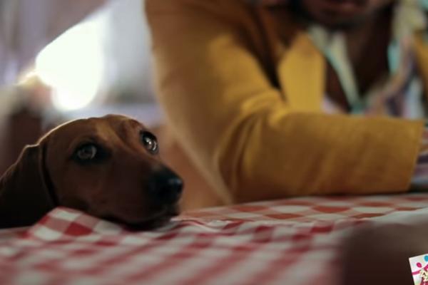 SVE ŠTO STE HTELI DA VIDITE, A NISTE DO SADA! Evo šta su radili Zadrugari u Kupinovu i kakav SPOT su snimili! Potrošeno više nego što troši BALKANSKA ESTRADA (VIDEO)
