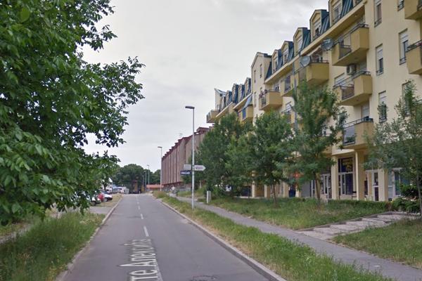 Planuo požar u Batajnici, povređeni majka i dete! VATRENA STIHIJA NA PETROVDAN