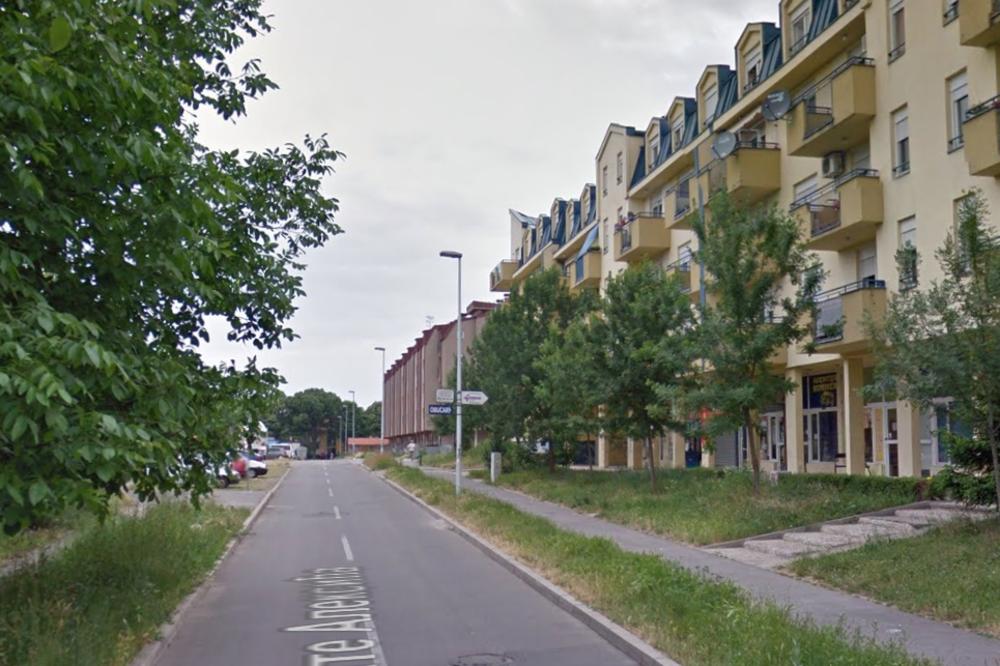 Planuo požar u Batajnici, povređeni majka i dete! VATRENA STIHIJA NA PETROVDAN