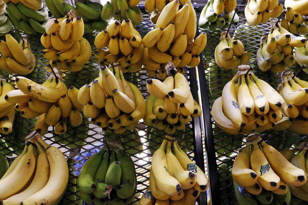 NEKI LJUDI BI TREBALO DA JEDU ZRELE BANANE, A NEKI ZELENE: U koju grupu vi spadate?