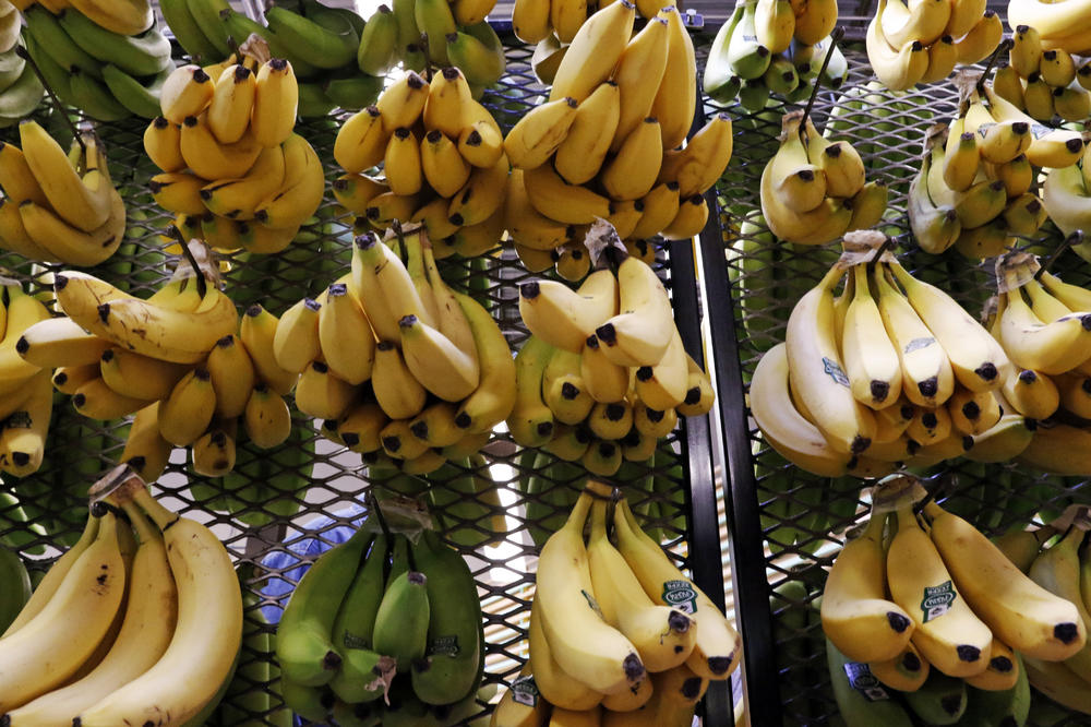 NEKI LJUDI BI TREBALO DA JEDU ZRELE BANANE, A NEKI ZELENE: U koju grupu vi spadate?