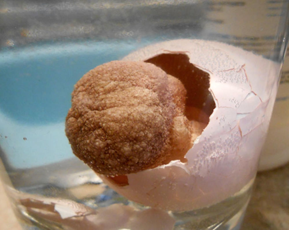 Zastrašujući prizor