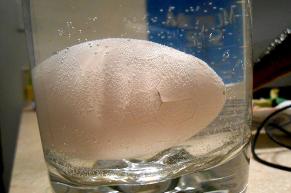 Stavio je IGRAČKU JAJE u vodu, posle 23 sata iz njega je izašlo NEŠTO JEZIVO (FOTO)