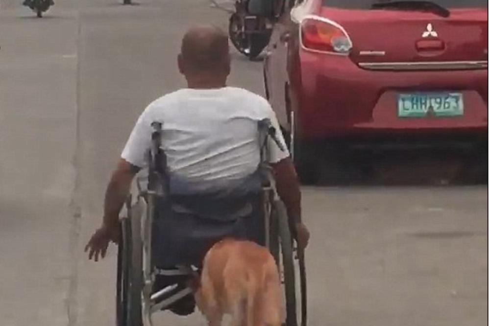 PRIZOR KOJI ĆE VAS DIRNUTI DO SUZA! Ovaj PAS uradio je za svog nepokretnog vlasnika nešto ZADIVLJUJUĆE! (VIDEO)