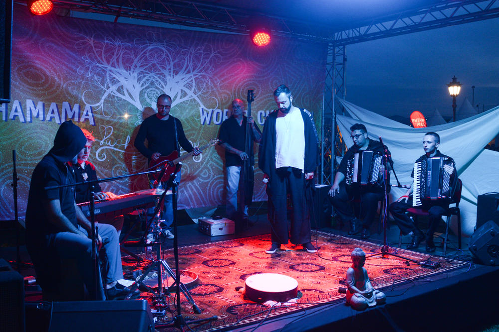 Žarko Ilić na Exitu 