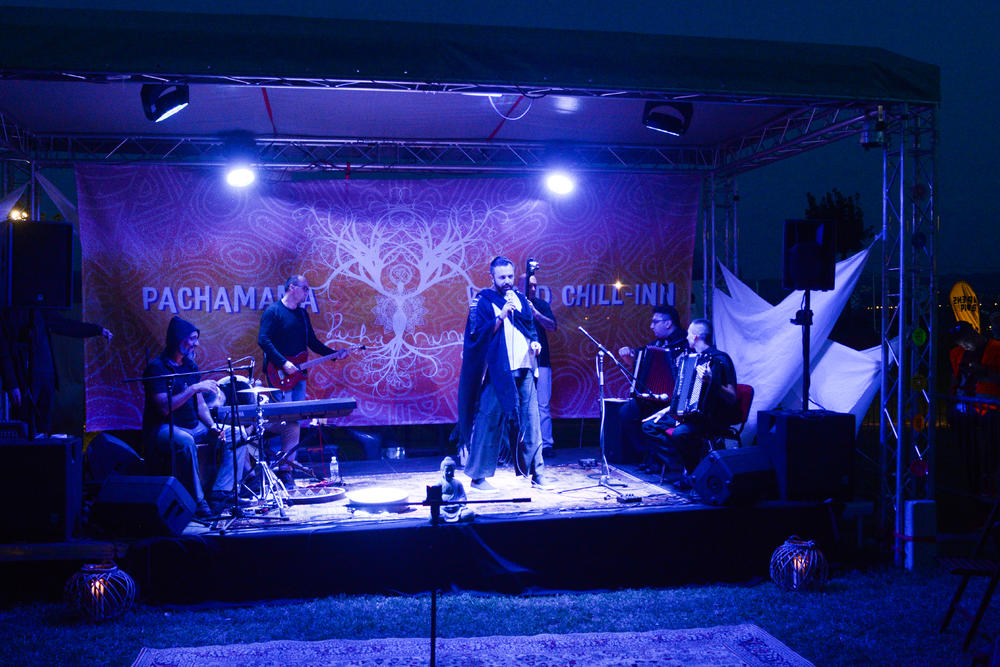 Žarko Ilić na Exitu 