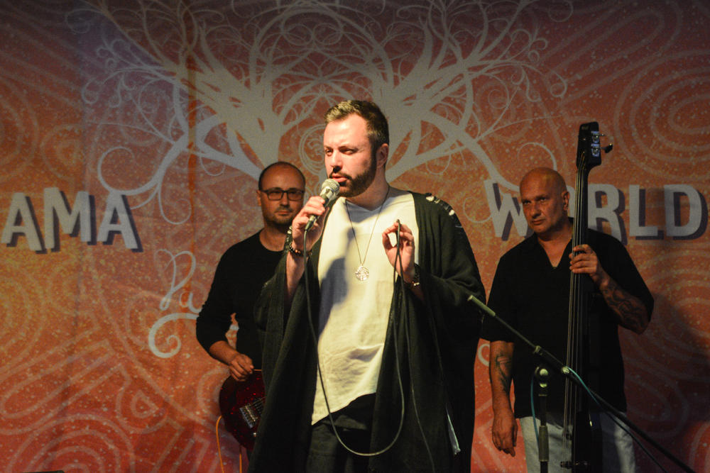 Žarko Ilić na Exitu 