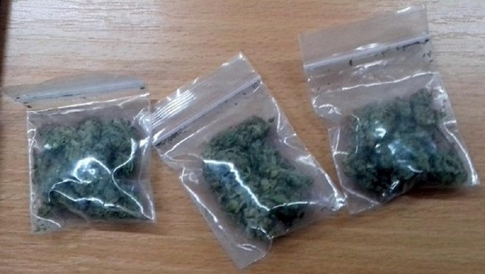 Zaplenjena marihuana  