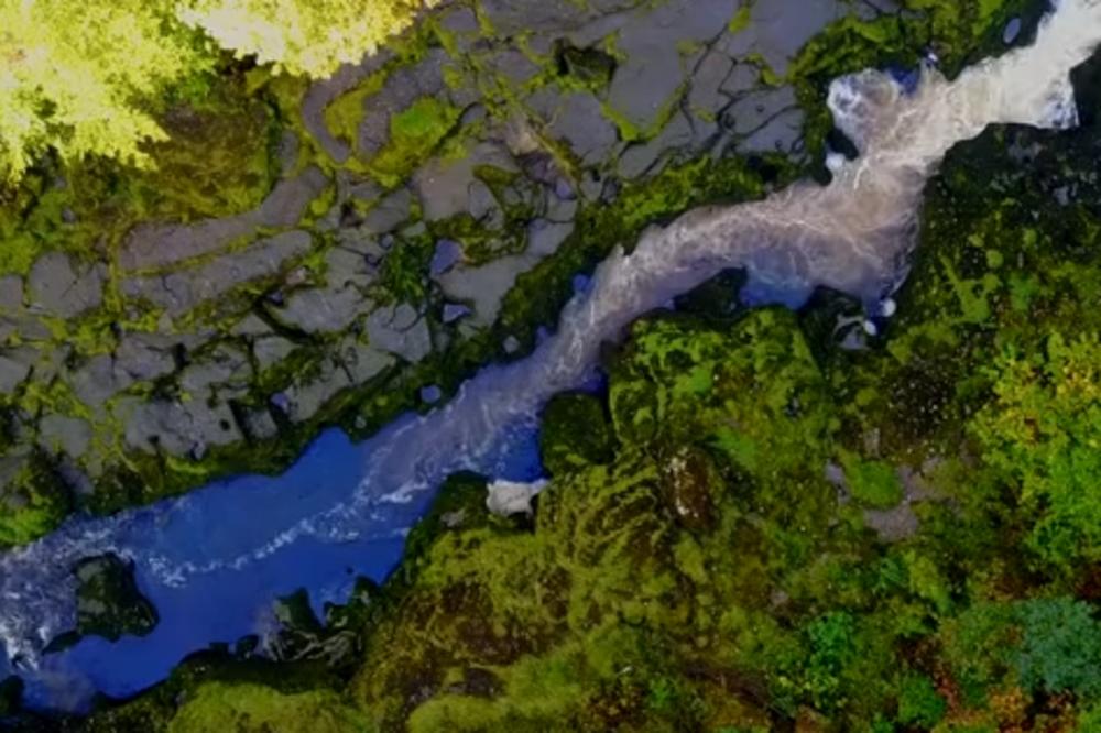 NAJOPASNIJA REKA NA SVETU IZGLEDA KAO PITOMI POTOČIĆ: Iz nje se niko nije izvukao ŽIV! (VIDEO)