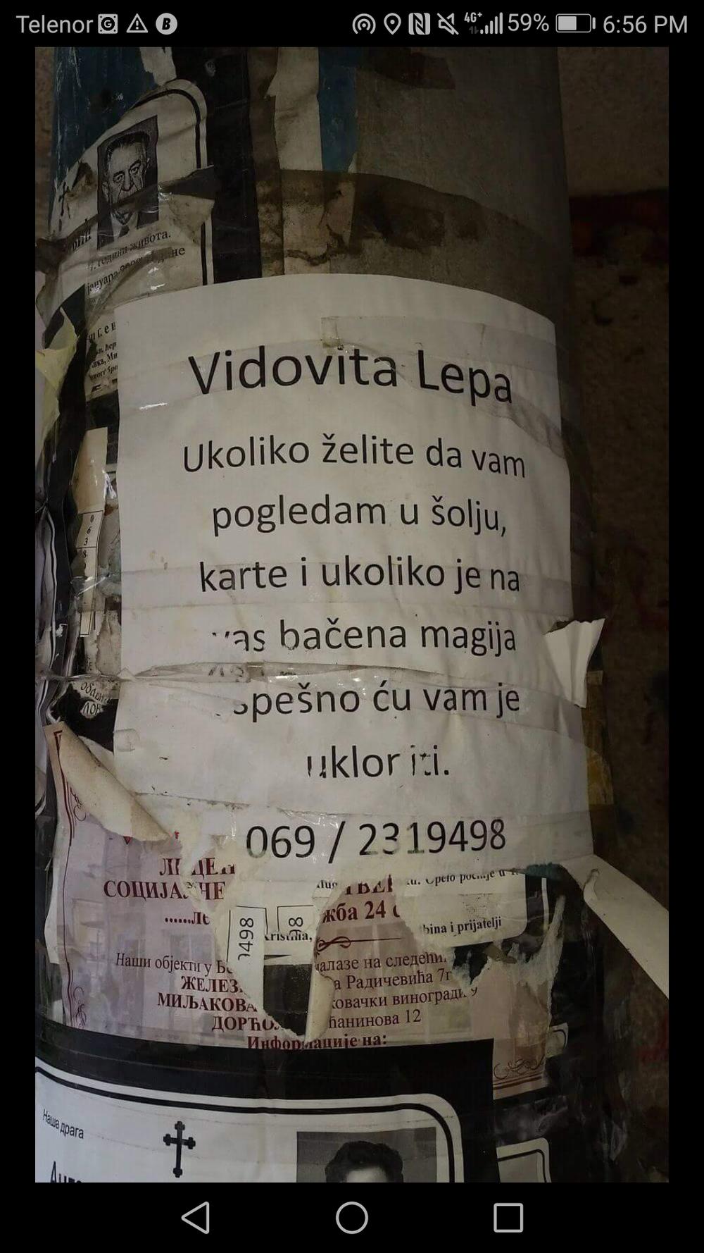 Vidovita Lepa  