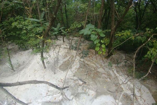 Nepoznate osobe ispraznile mešalicu i zabetonirale drveće! EKOLOŠKA KATASTROFA na KOŠUTNjAKU (FOTO)