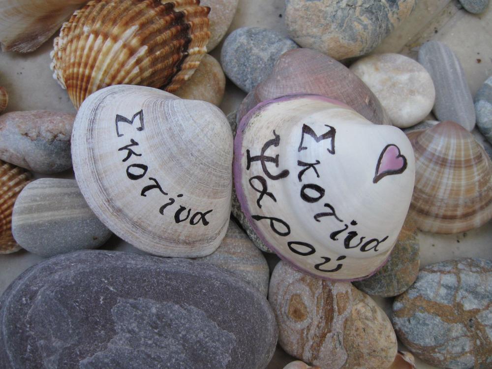 Predragove ukrasne školjke