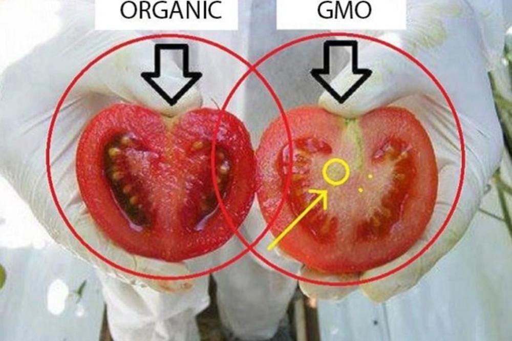 Na osnovu brojeva ne možete prepoznati gmo namirnice(FOTO)