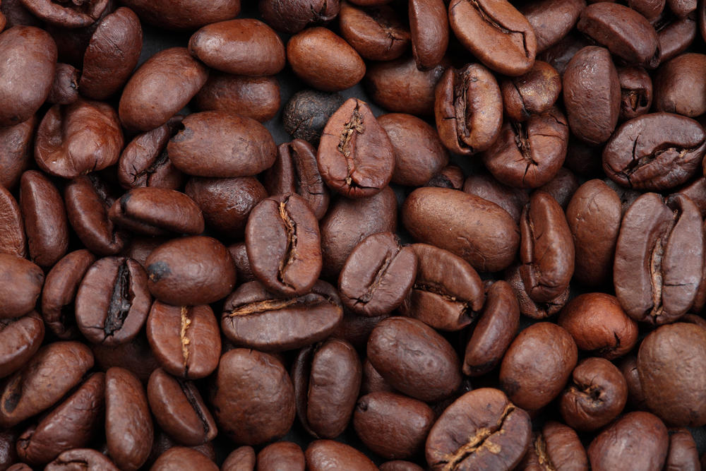 Kafu obožavaju širom sveta 