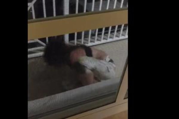 OVO JE NEŠTO NAJGORE ŠTO ĆETE VIDETI OVE GODINE: Zamalo da se završi TRAGIČNO! (VIDEO)