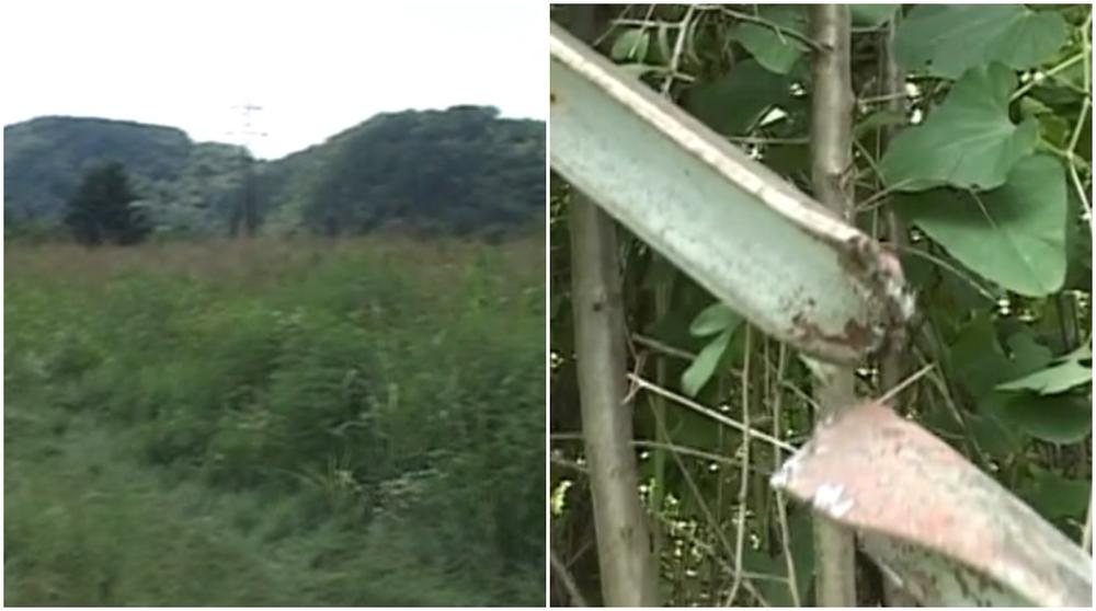 Mesto na kom je pronađen deda Jelene Đoković  