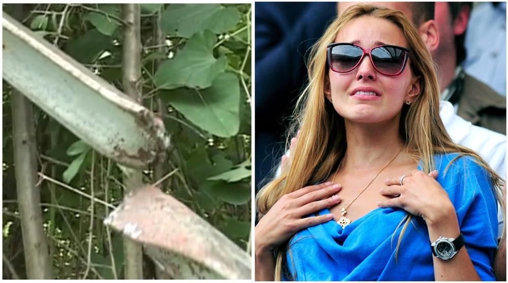 Mesto gde je pronađen Jelenin deda  