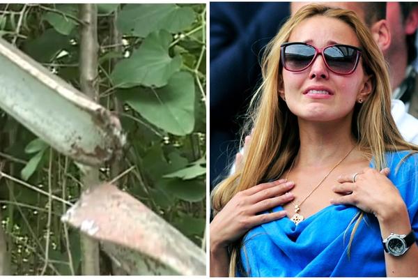 STRAVIČNO! Ovo je mesto na kojem je pronađen VEZAN DEDA JELENE ĐOKOVIĆ za koga su otmičari tražili DVA MILIONA EVRA otkupa! (FOTO) (VIDEO)