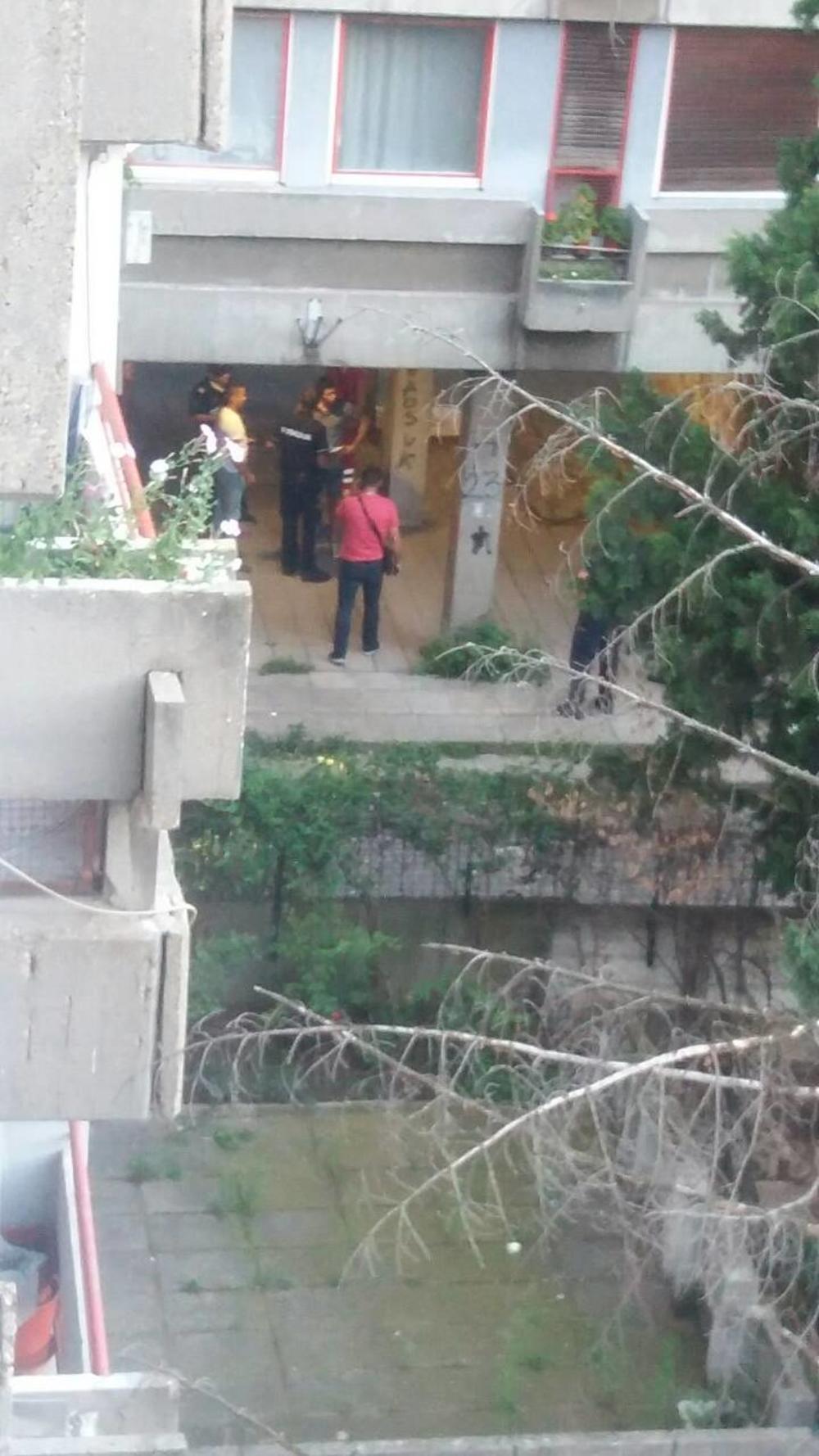 Ubistvo na Novom Beogradu 