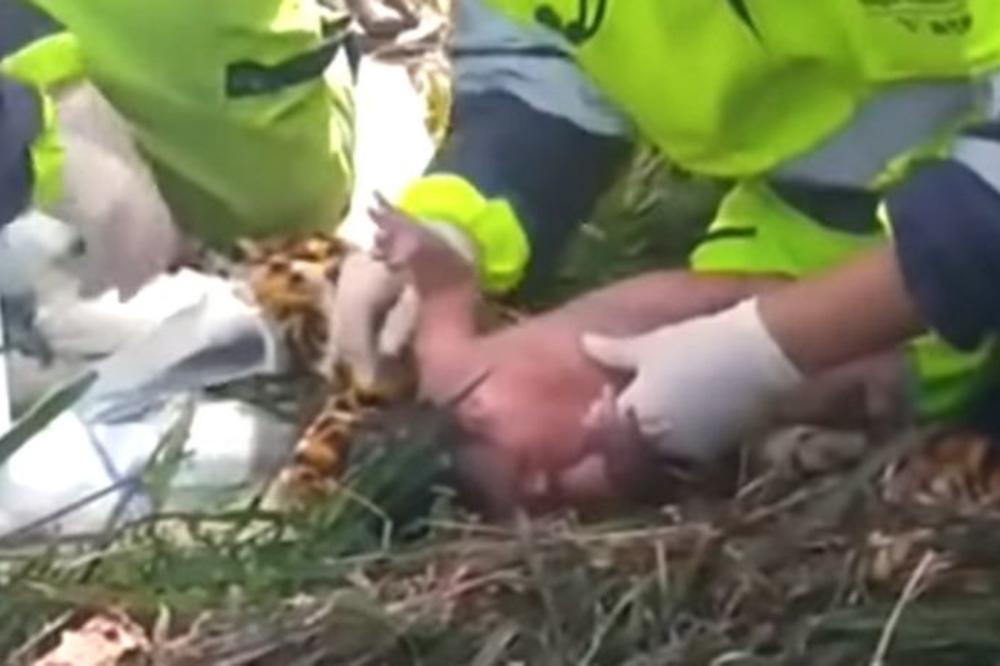 OVO JE PRAVO ČUDO! Trudnica je izletela iz KAMIONA i POGINULA, a nekoliko metara od nje pronašli su tek rođenu bebu... ŽIVU! (VIDEO)